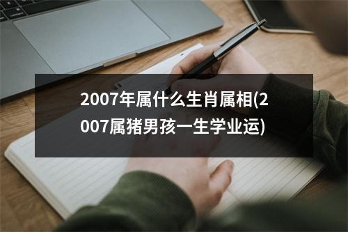 2007年属什么生肖属相(2007属猪男孩一生学业运)