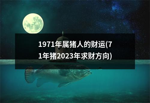 1971年属猪人的财运(71年猪2023年求财方向)