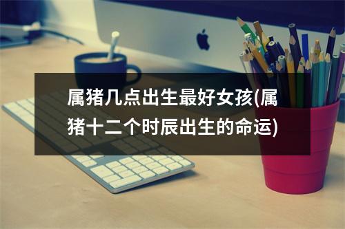 属猪几点出生好女孩(属猪十二个时辰出生的命运)
