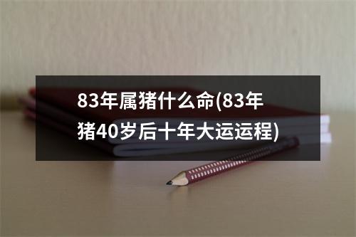 83年属猪什么命(83年猪40岁后十年大运运程)
