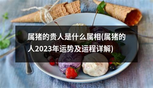 属猪的贵人是什么属相(属猪的人2023年运势及运程详解)