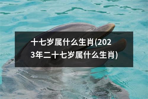 十七岁属什么生肖(2023年二十七岁属什么生肖)