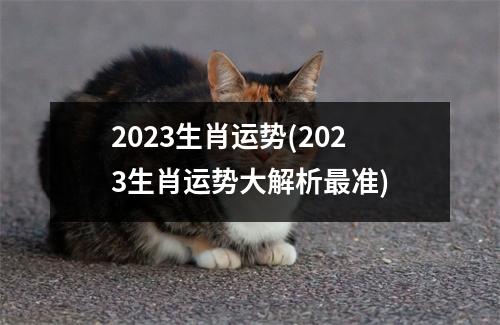 2023生肖运势(2023生肖运势大解析准)