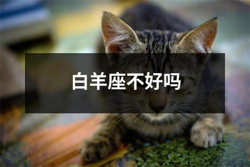 白羊座不好吗