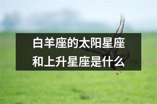 白羊座的太阳星座和上升星座是什么