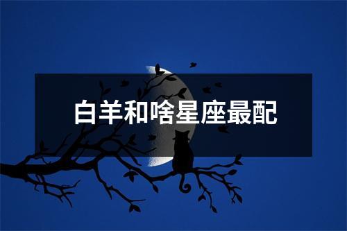 白羊和啥星座配