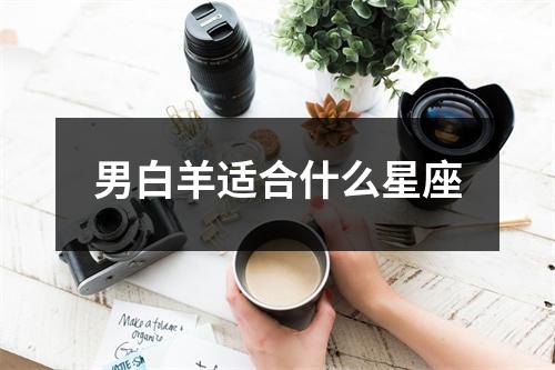 男白羊适合什么星座