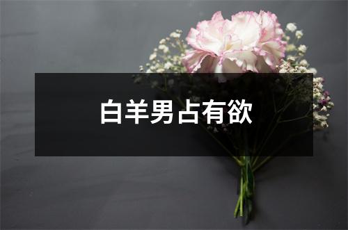白羊男占有欲