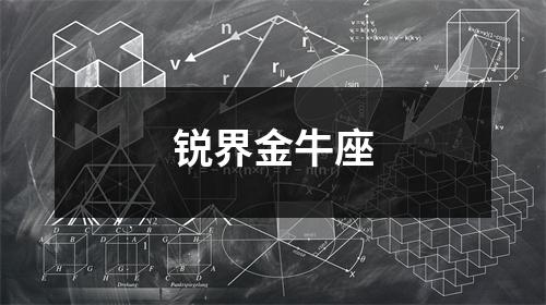 锐界金牛座