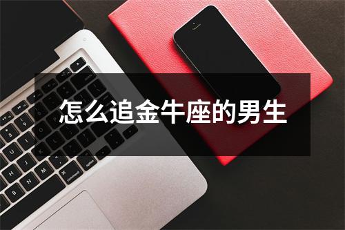 怎么追金牛座的男生