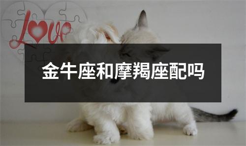 金牛座和摩羯座配吗