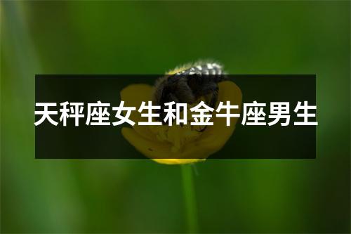 天秤座女生和金牛座男生