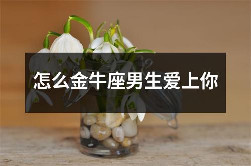 怎么金牛座男生爱上你
