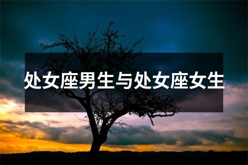 处女座男生与处女座女生