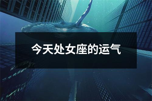 今天处女座的运气