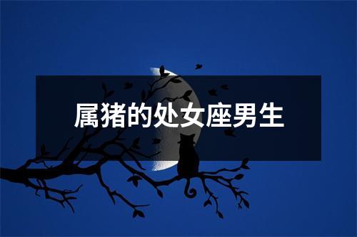 属猪的处女座男生