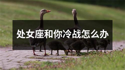 处女座和你冷战怎么办