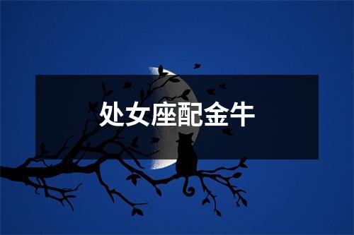 处女座配金牛