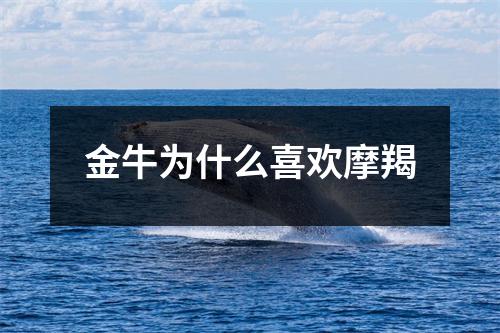 金牛为什么喜欢摩羯