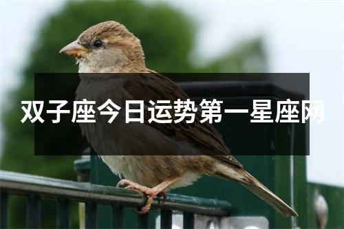 双子座今日运势第一星座网