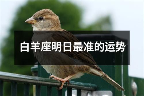 白羊座明日准的运势