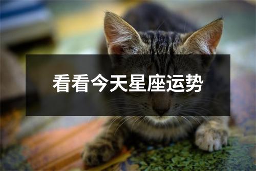 看看今天星座运势