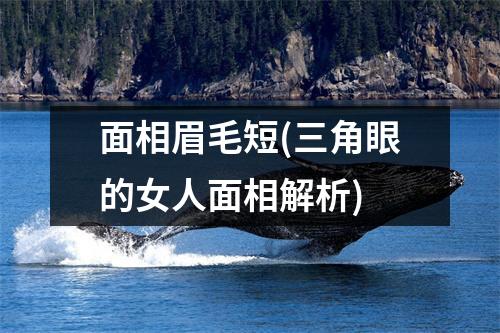 面相眉毛短(三角眼的女人面相解析)