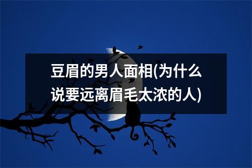 豆眉的男人面相(为什么说要远离眉毛太浓的人)