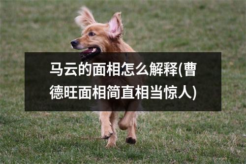马云的面相怎么解释(曹德旺面相简直相当惊人)
