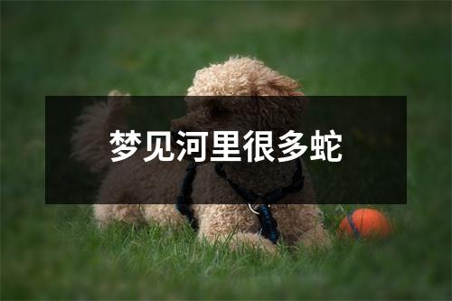梦见河里很多蛇