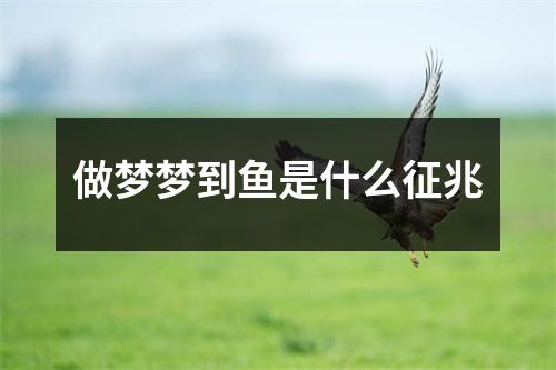 做梦梦到鱼是什么征兆