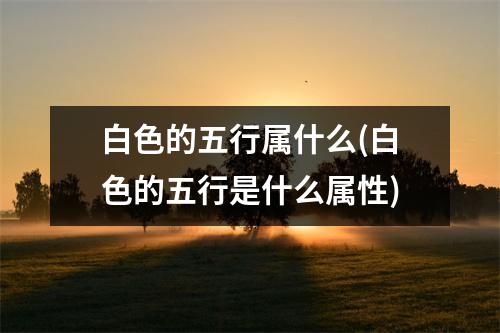 白色的五行属什么(白色的五行是什么属性)
