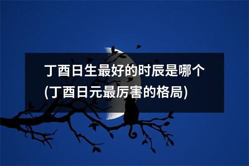 丁酉日生好的时辰是哪个(丁酉日元厉害的格局)