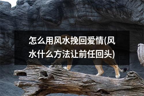 怎么用风水挽回爱情(风水什么方法让前任回头)