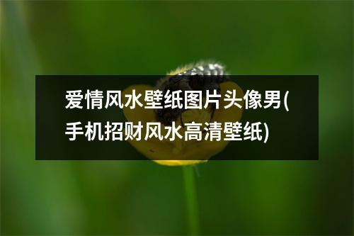 爱情风水壁纸图片头像男(手机招财风水高清壁纸)