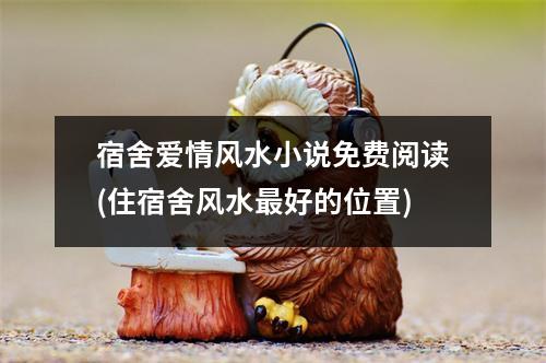 宿舍爱情风水小说免费阅读(住宿舍风水好的位置)