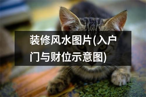 装修风水图片(入户门与财位示意图)