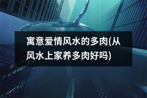寓意爱情风水的多肉(从风水上家养多肉好吗)