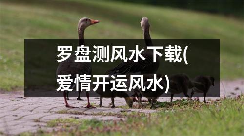 罗盘测风水(爱情开运风水)