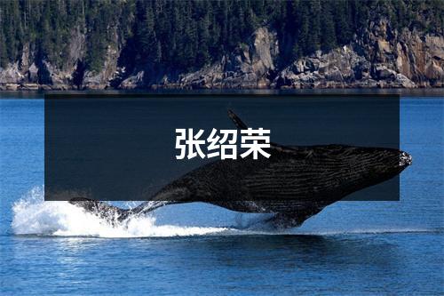 张绍荣