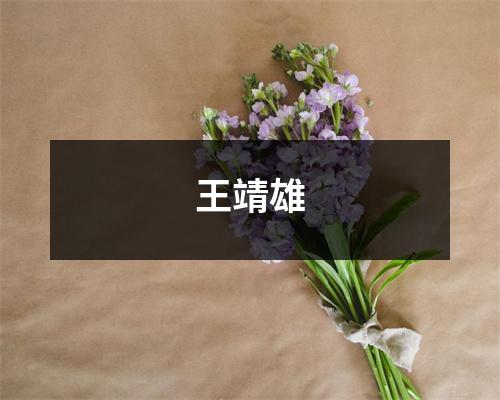 王靖雄