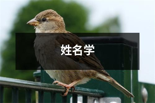 姓名学