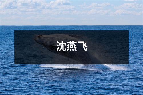 沈燕飞