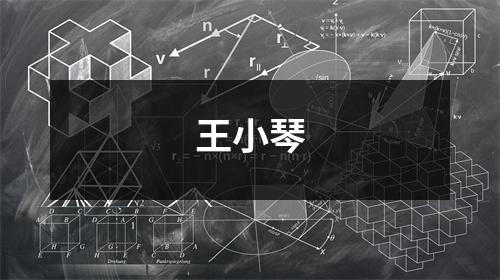 王小琴
