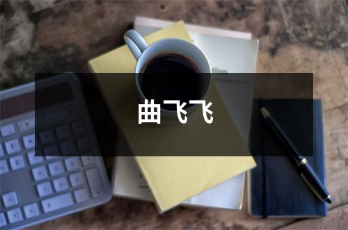 曲飞飞