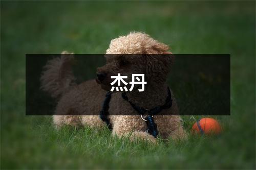 杰丹