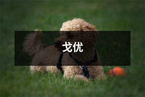 戈优