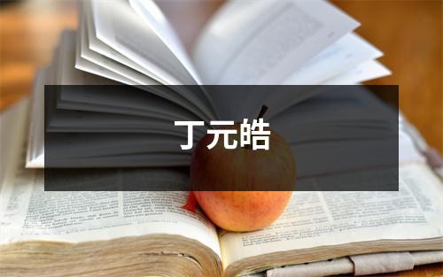 丁元皓