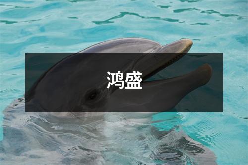 鸿盛