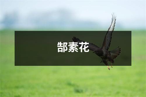 郜素花